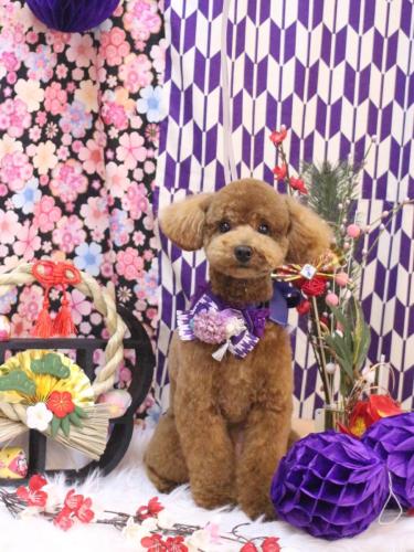 20250123モコくん